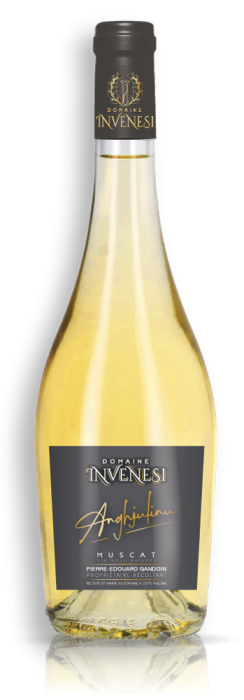 BOUT-Domaine-INVENESI-Muscat-ombre&reflet