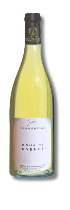 Bouteille Blanc Site - Modifié