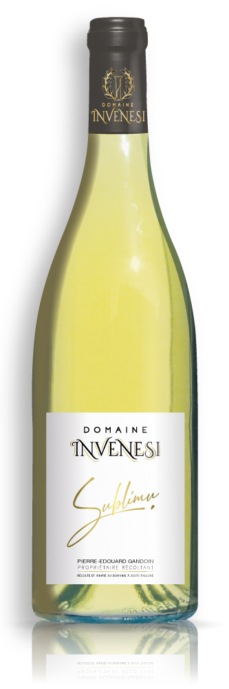 BOUT-Domaine-INVENESI-Vin-Blanc-ombre&reflet