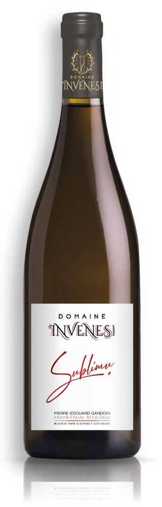 BOUT-Domaine-INVENESI-Vin-Rouge-ombre&reflet