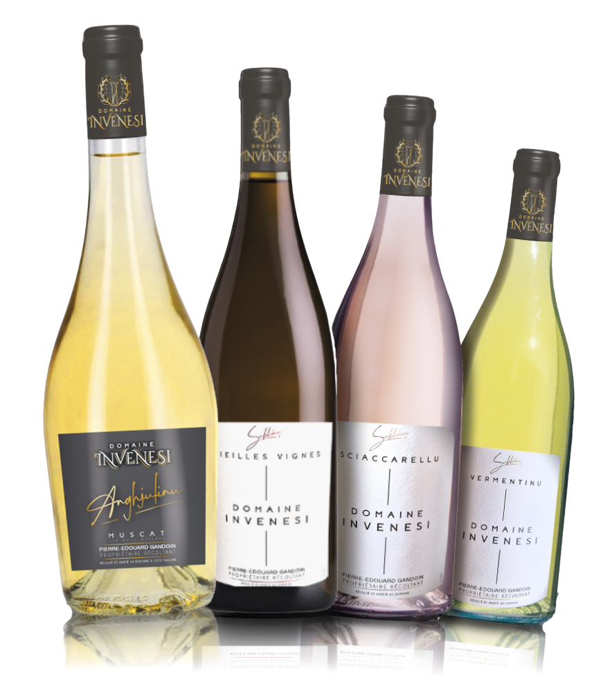 Bouteille Panaché Site - Modifié